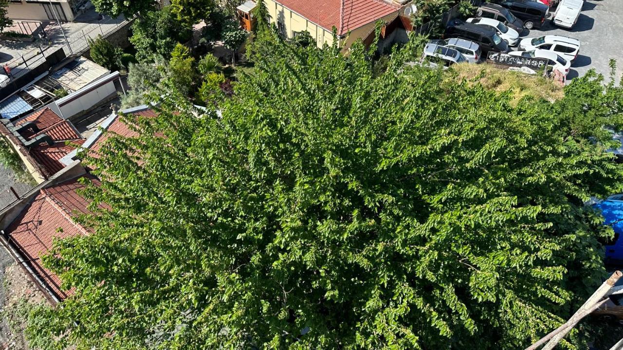 Mar Boutique Apartment Provincia di Provincia di Istanbul Esterno foto